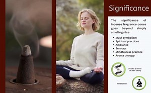 TRUMIRI Musk Incense Cones - Total 20 Cone Incense - Dual Pack of 10 Insence Cones - Incense Cones Scented - Cone Incense Scents - Insense Cones - Incent Cone