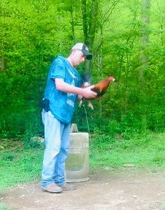 124K views · 4.2K reactions | Why Medicating Gamefowl Over Time is...