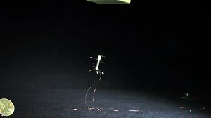 Researchers at Harvard University have created a robotic bee that's scarily lifelike. | Select All