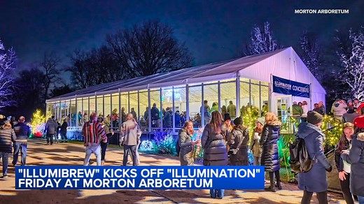 Morton Arboretum 'Illumination: Tree Lights' begin this weekend in Lisle