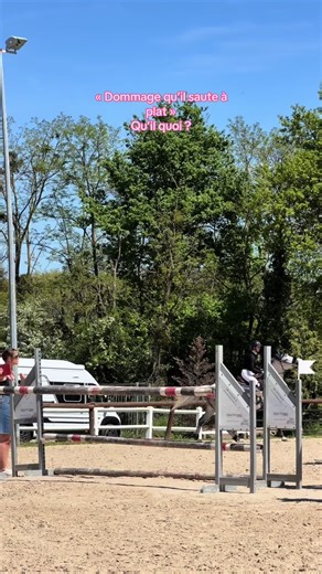 #viral #fyp #prt #cheval