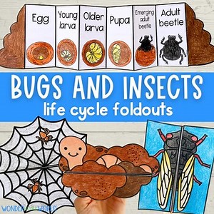 Bugs and insects life cycles folding craft activities worm spider cicada beetle