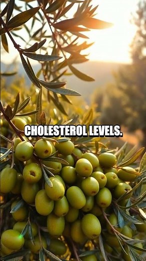 Exploring the Benefits of Olive Leaf Extract