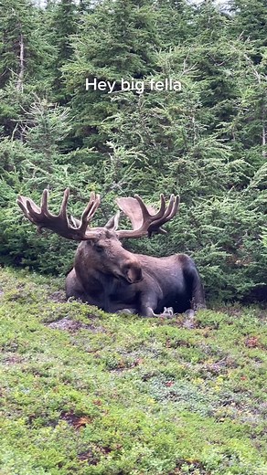 KAR Photography on TikTok