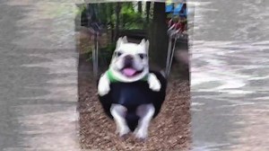 6.9K views · 157 reactions | OMFG | Circus Records | Facebook