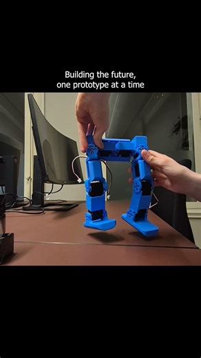 While everybody is building AI agents, I'm building robots.