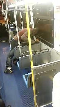 cta buss gang fight in Chicago