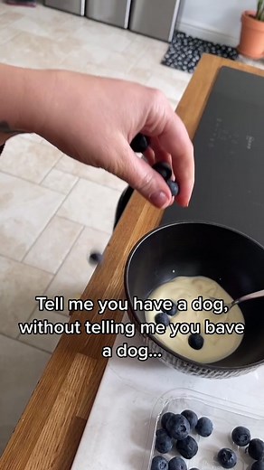 Who can relate? 😂 #dogchallenge #sausagedogcentral #dachshundsofinstagram #dachshundsoftiktok #dogsoftiktok #dogmum #tellmeyouhaveadog