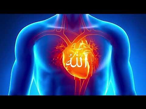 Zikr Allah 40 Minutes. That will clean your soul and heart.