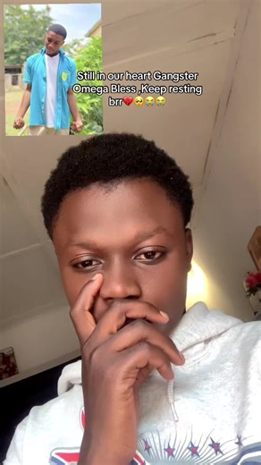 Remembering Omega: A Heartfelt Tribute