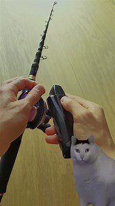 17K views · 26 reactions | Unlock the secret to hassle-free fishing with this incredible line remover tool! fishing gear and tools #fishing #fishinggear #fishingaccessories #fishingtime #fishingvideos #fishinglife #fishingtackle #fishing #fishingtipshingtips #fishingaccessories | Thewishingrod.com | Facebook