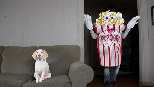 Dog confronts a giant popcorn man in a prank