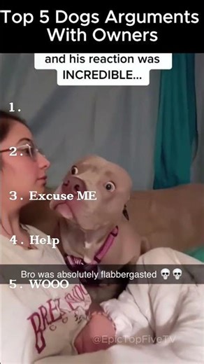 Top 5 Dogs Arguing With Their Owners🐶😂 #funny #dog #pets