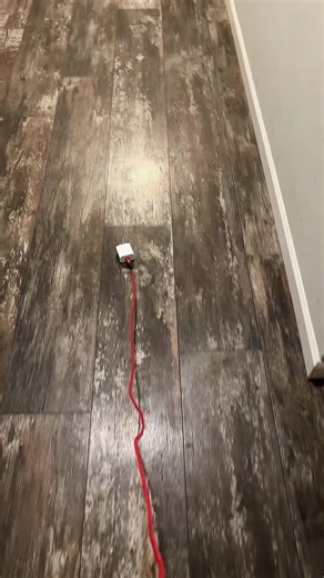 Plug walk | plugwalk