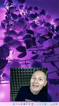 45 Aggiornamenti automatici quando e come disattivarli | Informatica Facile | Maggiolina Shorts