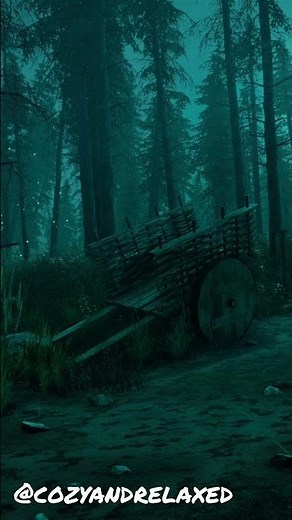 Creepy Forest at Night Sounds | Night Ambience | Forest Ambience | Halloween