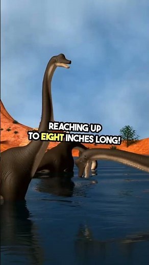 "The Rise and Fall of Saber-Toothed Cats"