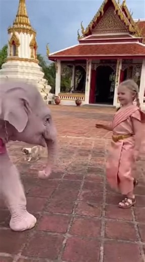 วิดีโอของ dreamcast2006 (@dreamcast2006) พร้อมเพลง เสียงต้นฉบับ - dreamcast2006