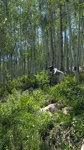 3.7K views · 31 reactions | Happy Summer Solstice!  Our weekend plans include:  Riding the bike park 律‍♀️ Free yoga Saturday at 9:00 a.m. on The Inn lawn  Free live music with Good Question on Sunday at 5:00 p.m. on the Moonbeam lawn | Solitude Mountain Resort | Facebook