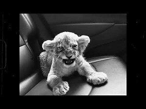 [FREE] Dark Boom Bap Type Beat - "No Light"