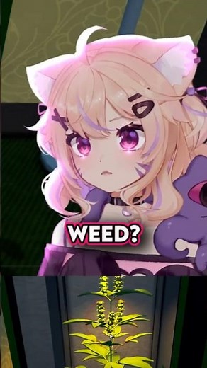 Squ Is SO INNOCENT