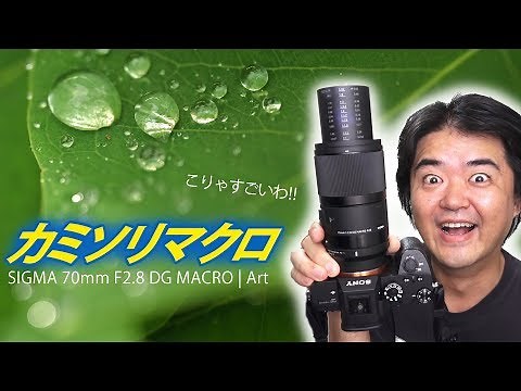Razor Macro SIGMA 70mm F2.8 DG MACRO | Art Sharp as hell! Sigma's Tsukkomi Master prime macro len...