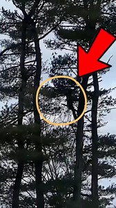 2M views · 474 reactions | How One Branch Just Cost Me $20,000 #expensive #reactionvideo #branch #surprising #viral #reels | Genius Inventions | Facebook