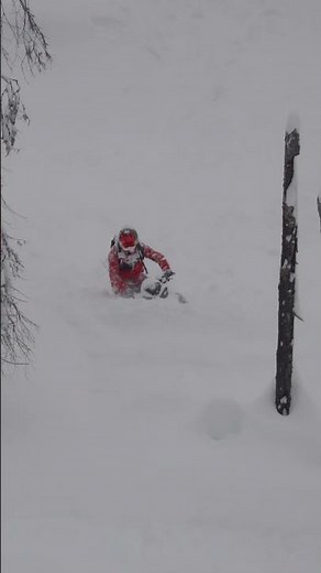 @dheadge doing a dropin some of the deepest snow we've ever ridden.#snowmobiling #snowmobile