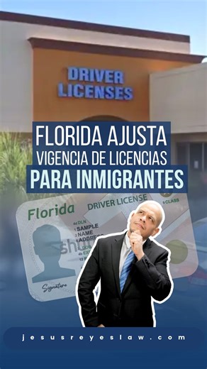 1.4K views | El Departamento de Vehículos Motorizados de Florida ha...