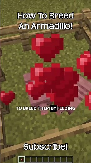 How To Breed Armadillos In Minecraft?!
