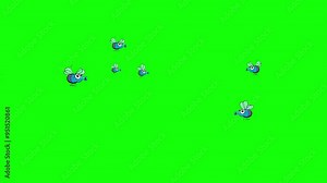 Cartoon flock of flies greenbox. Funny insects characters ready for a meal. Put something at the bottom of movie. Seamless loop isolated.