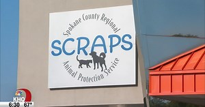 Outrage grows after SCRAPS euthanizes 14 dogs, Spokane City Council steps in