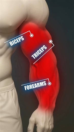 Endomondo on Instagram: "Stronger arms. No equipment. 💪 Beginner to advanced, level up at home. Beginner: ✅ Chair Dip ✅ Decline Diamond Push Up ✅ Incline Reverse Push Up ✅ Wrist Sinkers Advanced: 🔥 Two Chair Dip 🔥 Diamond Pike Push Up 🔥 Reverse Push Up 🔥 Finger Push Up 💡 Tip: Control every rep for max tension. 🔹🔹🔹🔹🔹 📻 Save this workout & follow us for more tips! 🎉 Want more? Try Endomondo FREE for 7 Days! 👉 Link in Bio #enfit #homeworkout #workoutideas #endomondo #armworkout #trice