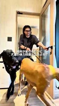 ワンオペ一人旅✌️すてきな所に泊まらせてもらいました🙌