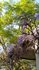 MidCoast residents, get up to 50% off RRP on worm farms, bokashi and compost bins from Council. Cut your waste in half and give your garden some spring love. Limited budget available, hurry to claim yours! Join the Compost Revolution ... www.compostrevolution.com.au/midcoast | Compost Revolution