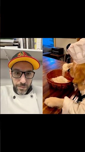 I’d hire him tbh 🎥: cookingwithbadger #chef #chefreactions #reaction