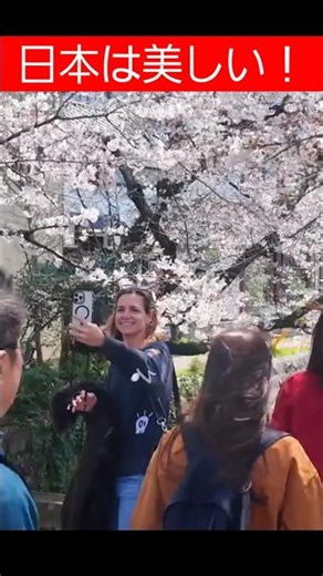 何て日本は美しいの！海外レディ、桜の吹雪に感無量