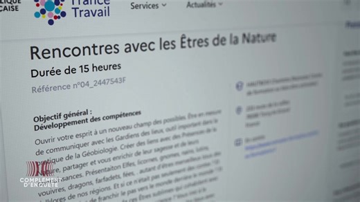 VIDEO. "Je ne m'attendais pas à trouver ça sur Pôle Emploi !" Rencontrer des elfes, faire venir des dragons... des formations ésotériques financées par de l'argent public