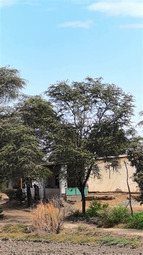 Lo mejor de Mochumi, el Campo, su Gente. Visitenos. Se va a Enamorar | Omar Garcia