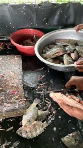 Amazing😱😱😱 using scissors for fish cutting #trending #viralvideo #fishcutting