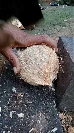 coconut removing tool | removing coconut meat from shell