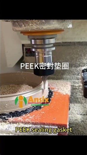PEEK sealing gasket #ansix #factory #ansixtech #mold #factoryproducts #productionfacility