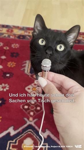 Also … bekommt er den Job? 🐈‍⬛📺 BLACK TORCH, jetzt auf Crunchyroll.