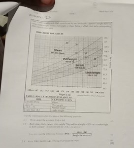 HNM: 01:5100:23 ITM classification table BMI CHART FOR ADULTS ... | Filo