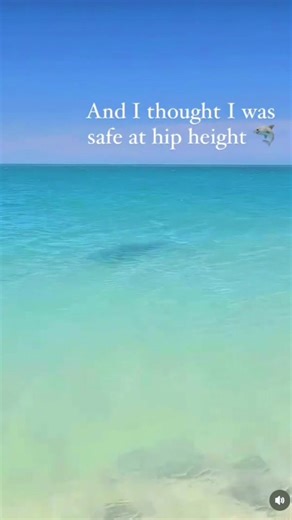 Shark Swimming Close to Shore - Dangerous Encounter