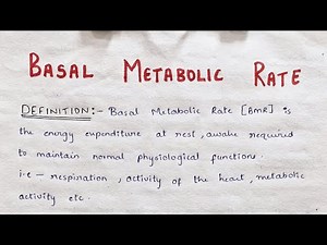 What is Basal Metabolic Rate | Biochemistry Notes | Explained