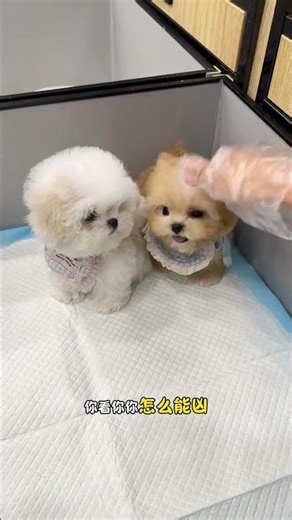 This Tiny Sniffer: The Hidden Magic Pill for Your Health