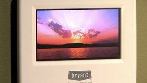 MyEvolution // Learn More