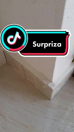 Identifying Wall Cracks in Your Home