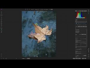 How to use Liquify Push Tool